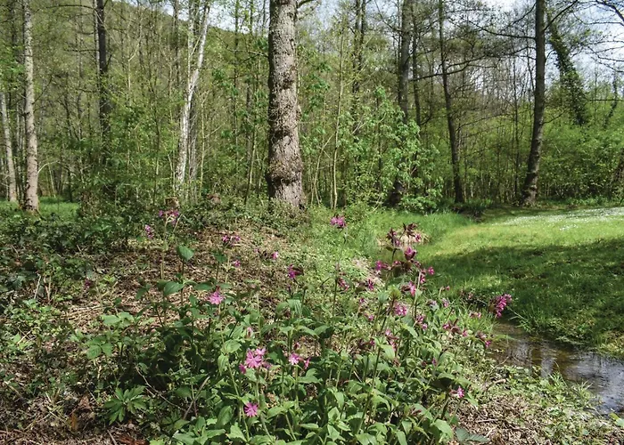 Ferienhaus Maison D'olenne